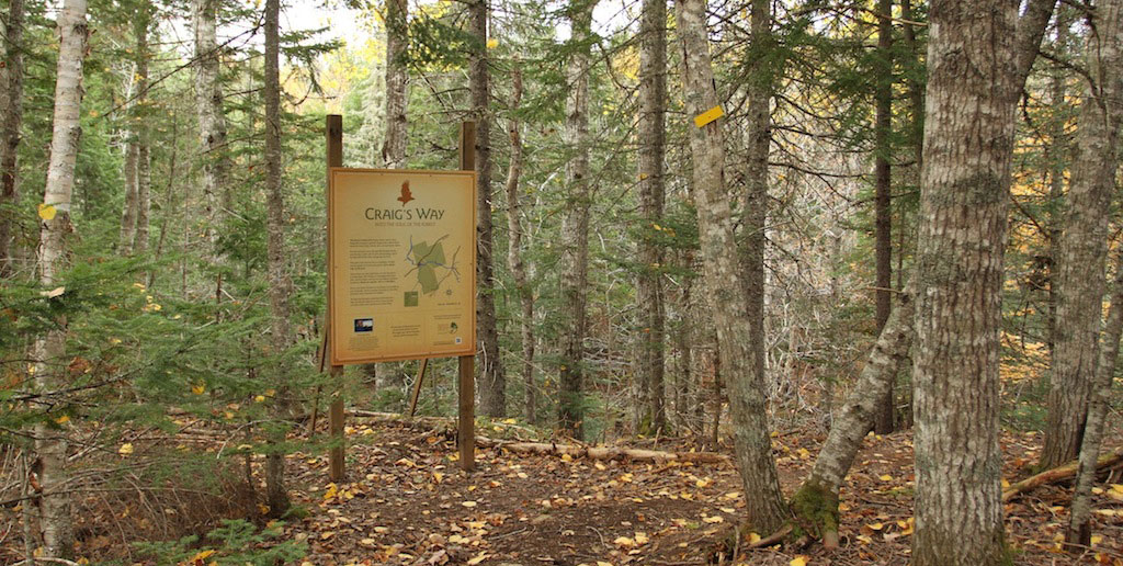 craigs way foot path.jpg